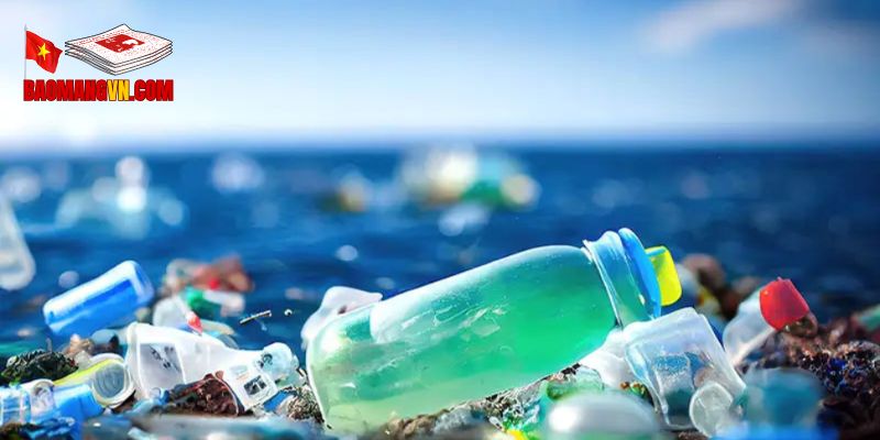 Các Biện Pháp Giảm Thiểu Rác Thải Hiệu Quả