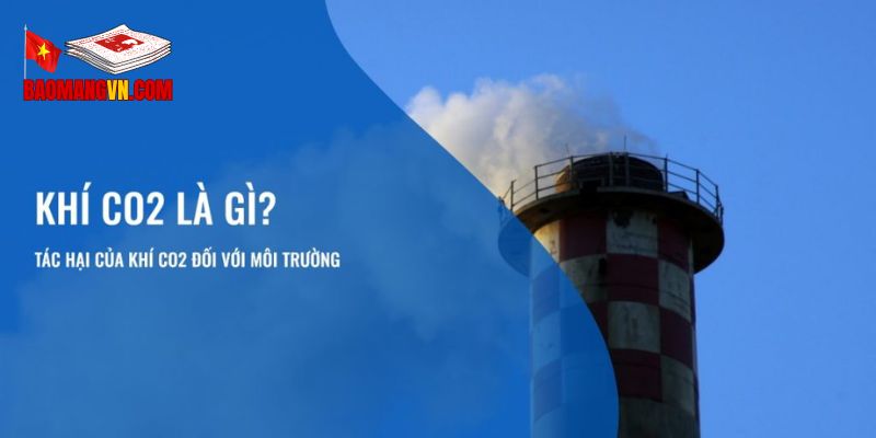 Hậu quả nghiêm trọng của khí thải carbon