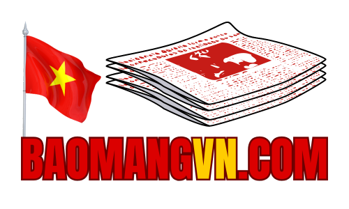 baomangvn.com