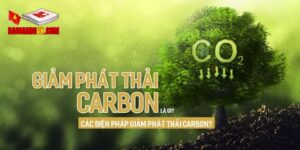 Nguyên nhân chính gây ra khí thải carbon