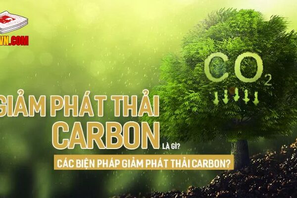 Hệ Quả Khí Thải Carbon Đem Lại Với Môi Trường Sống Hiện Nay Nguyên nhân chính gây ra khí thải carbon