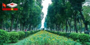 Tầm quan trọng của việc cải cách nông nghiệp 