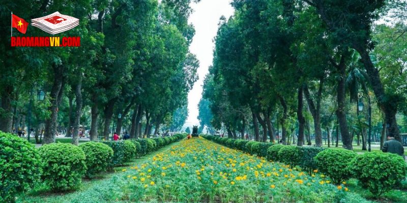 Tầm quan trọng của việc cải cách nông nghiệp