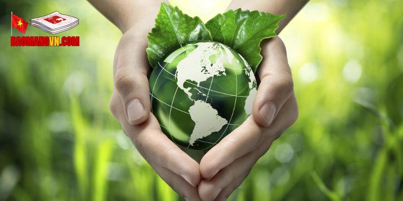 Thách Thức Và Tiềm Năng Phát Triển