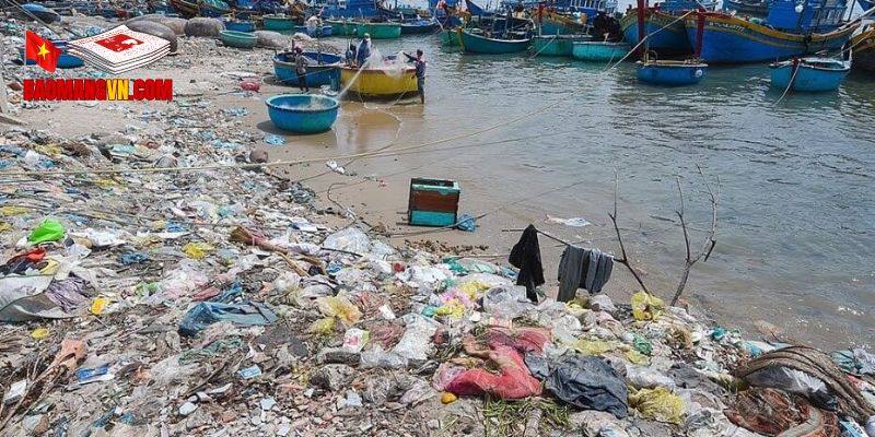 Thực trạng báo động ô nhiễm môi trường hiện nay