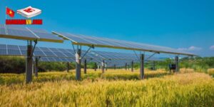 Tổng quan chi tiết về năng lượng tái tạo