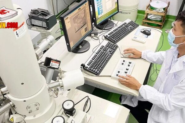 Ứng Dụng Công Nghệ Sinh Học Và Các Tiềm Năng Phát Triển Ứng Dụng Của Công Nghệ Sinh Học Trong Y Khoa